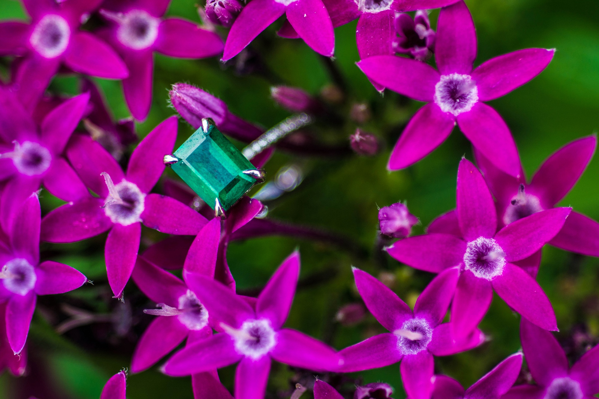 Walt Disney World EPCOT Center Engagement Session