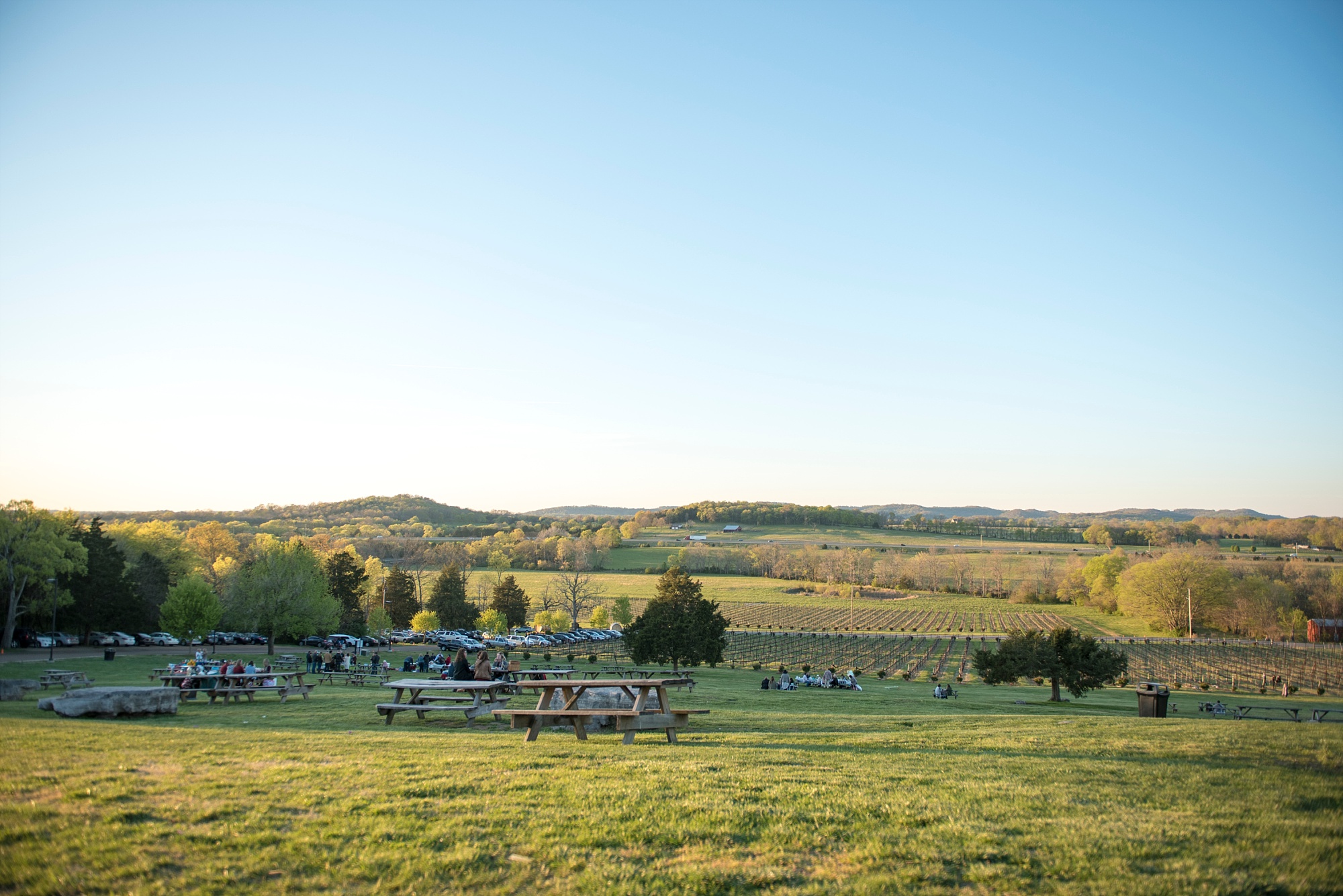Arrington Vineyards