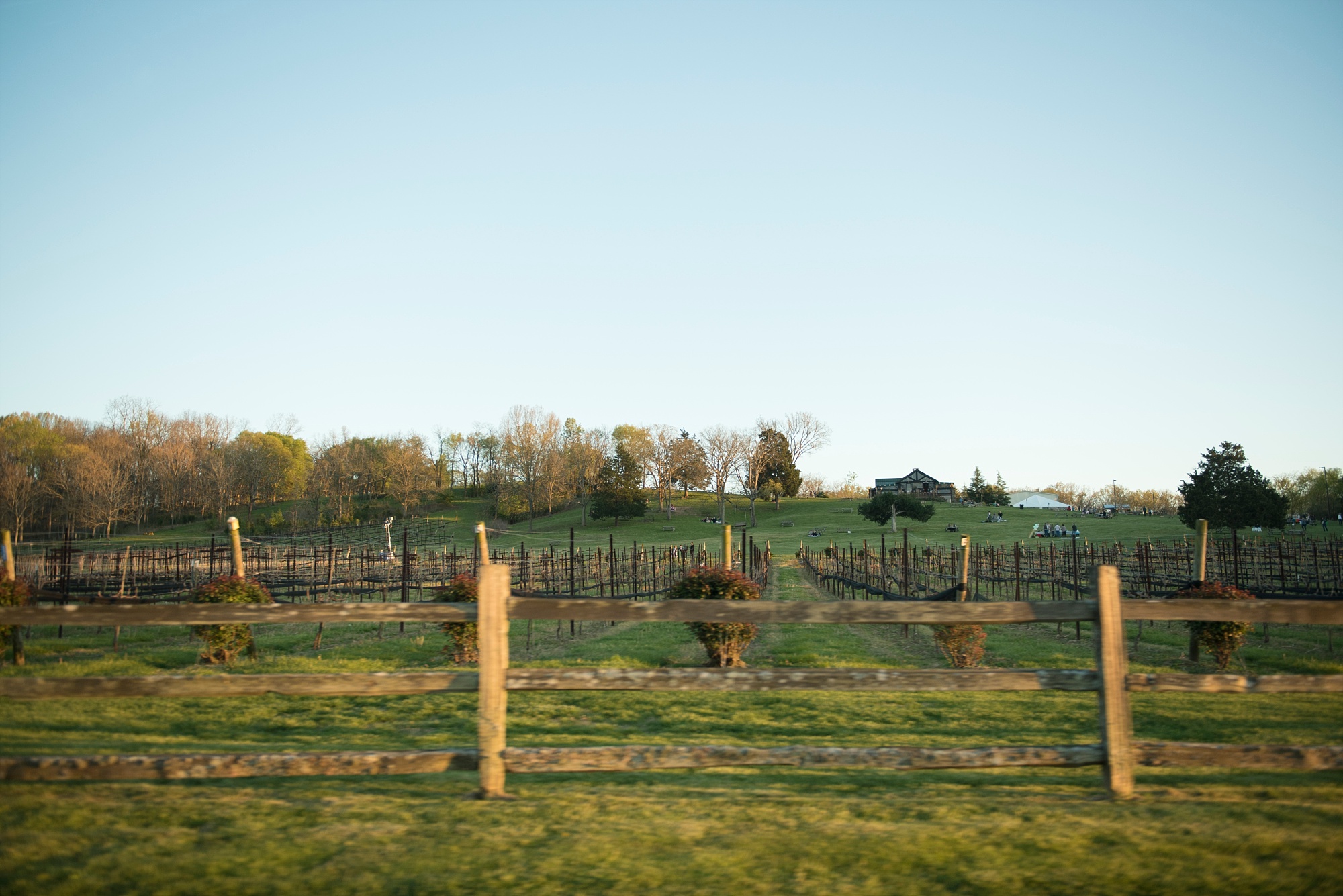 Arrington Vineyards