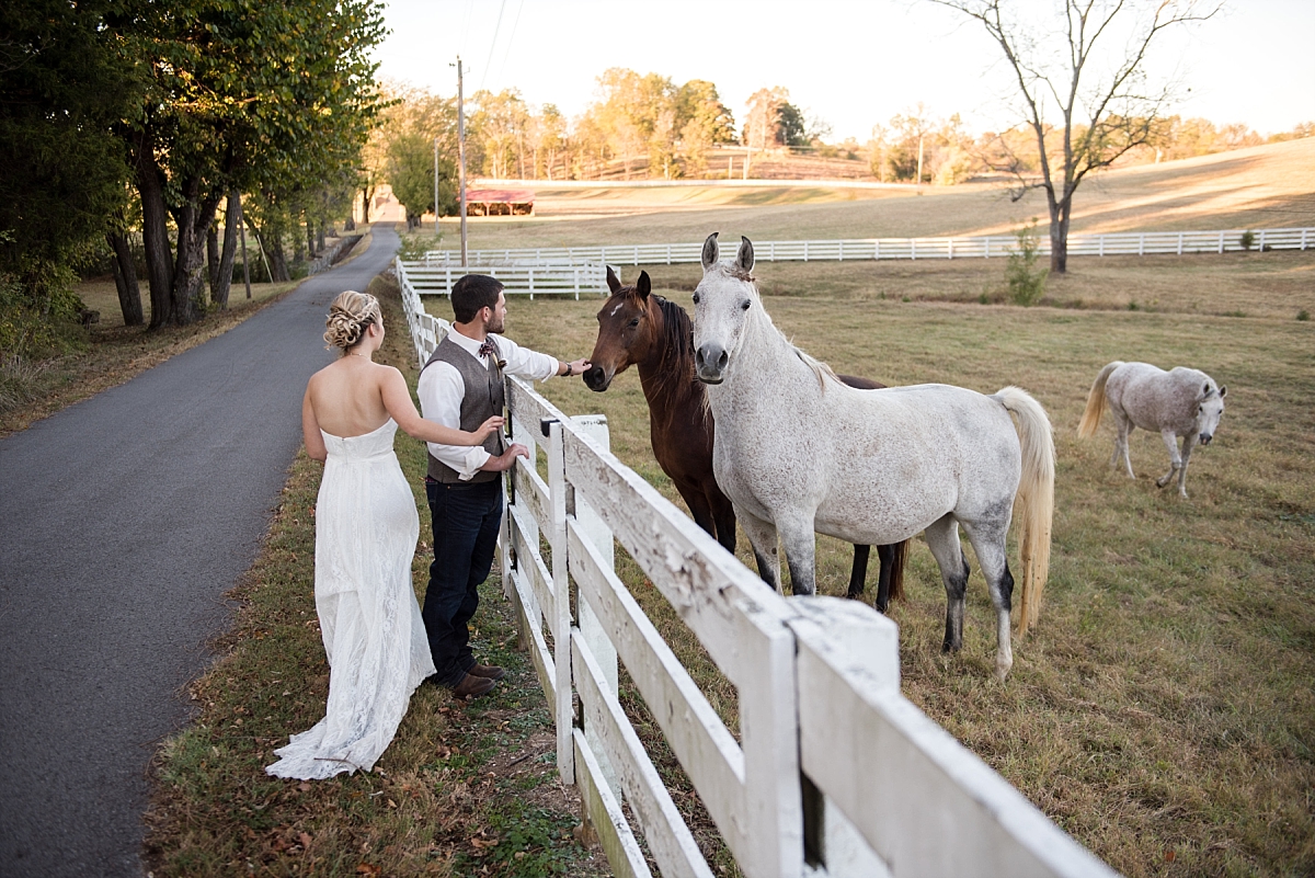 Newlyweds playing with horses at Samary Plantation in Eagleville