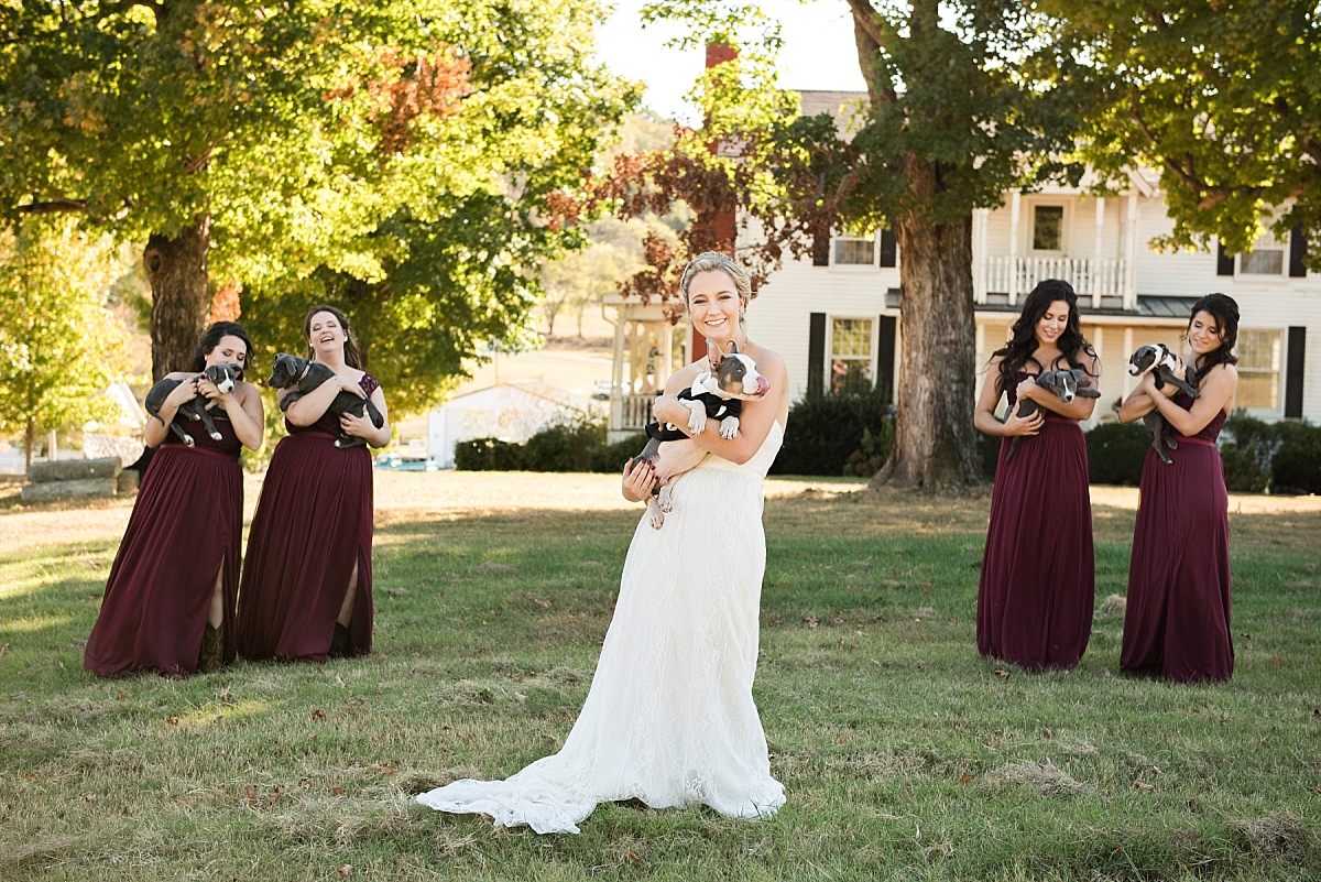 Bride and bridesmaids with dogs