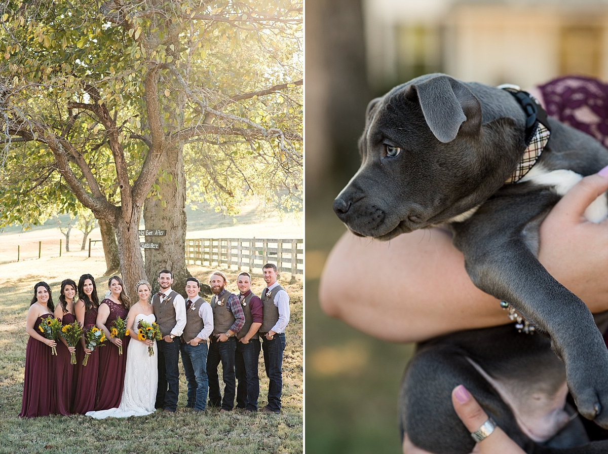 bridesmaids and groomsmen under large tree with fall colors