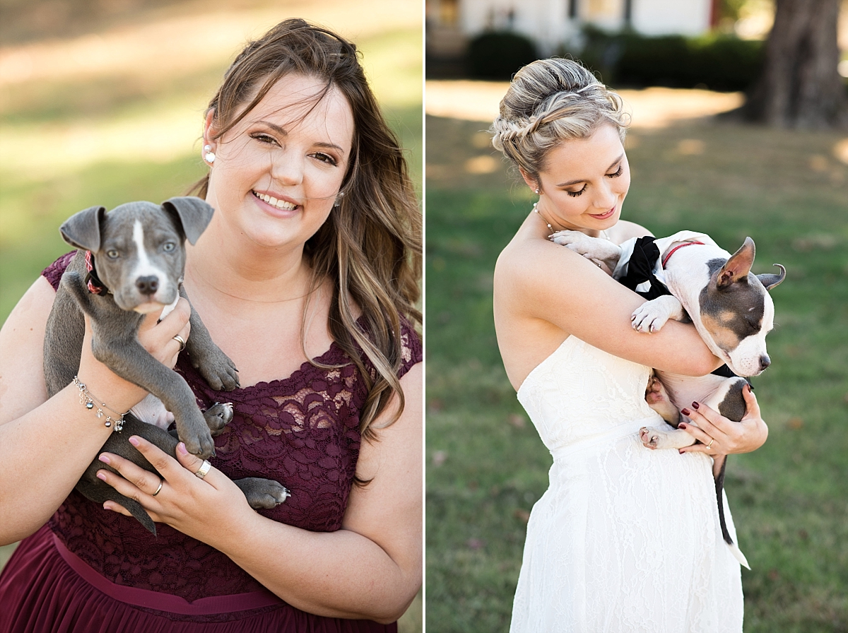 Bride and maid of honor with dogs