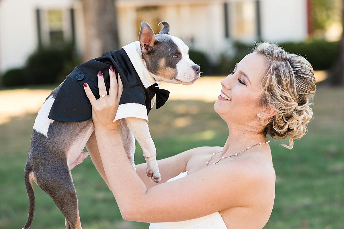 Dog wearing tuxedo on wedding day