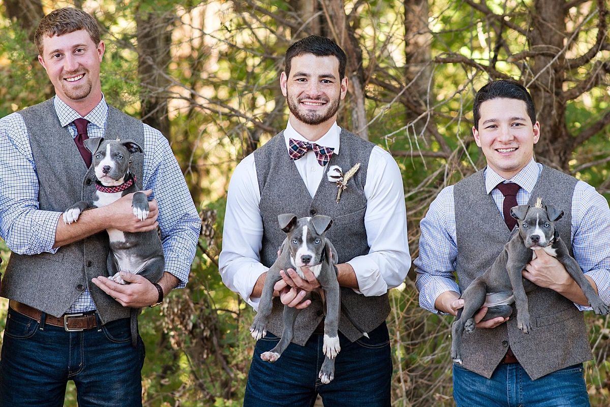Groomsmen and groom holding puppies