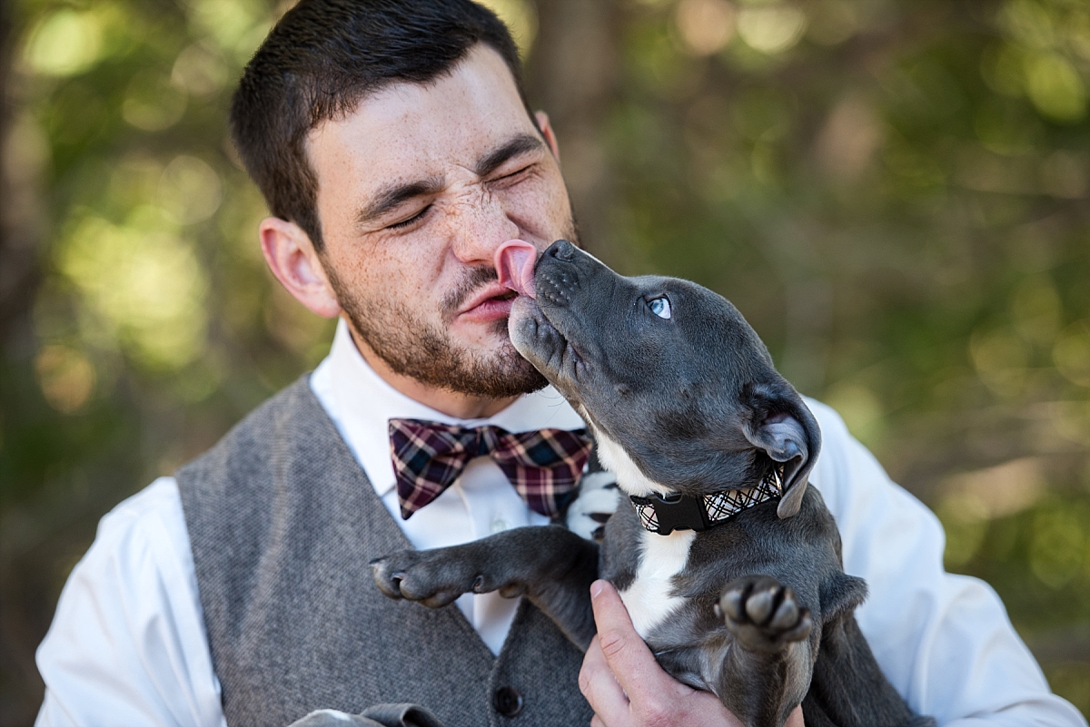 Dog licking grooms face