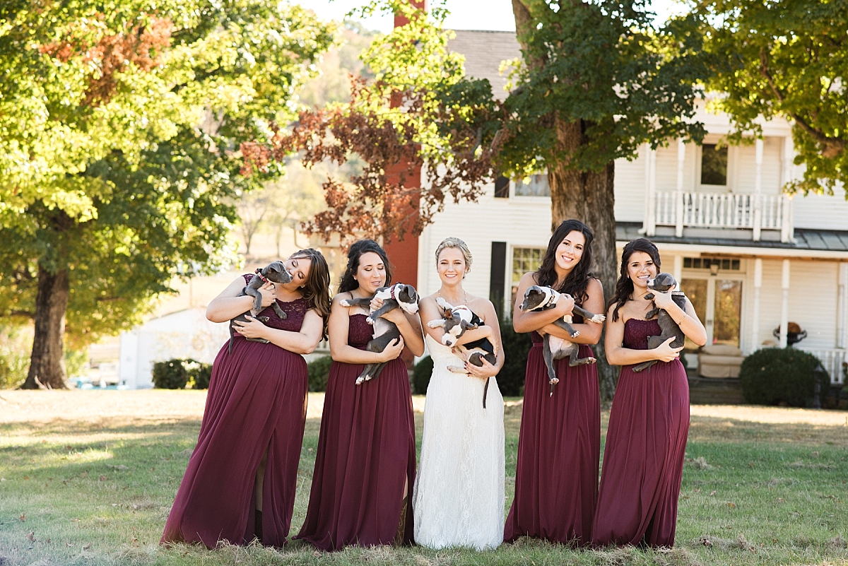 Bridesmaids playing with puppies
