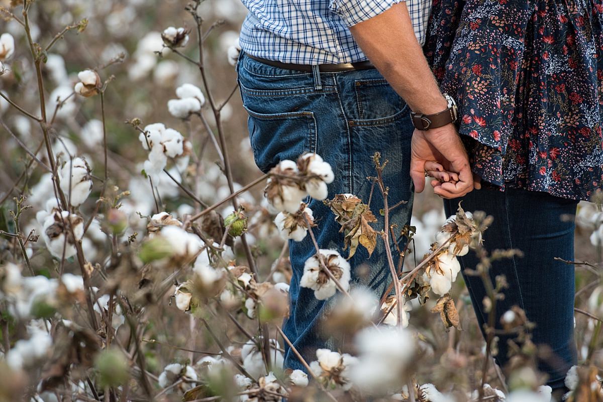 Detail photo of couple holding hands in cotton field