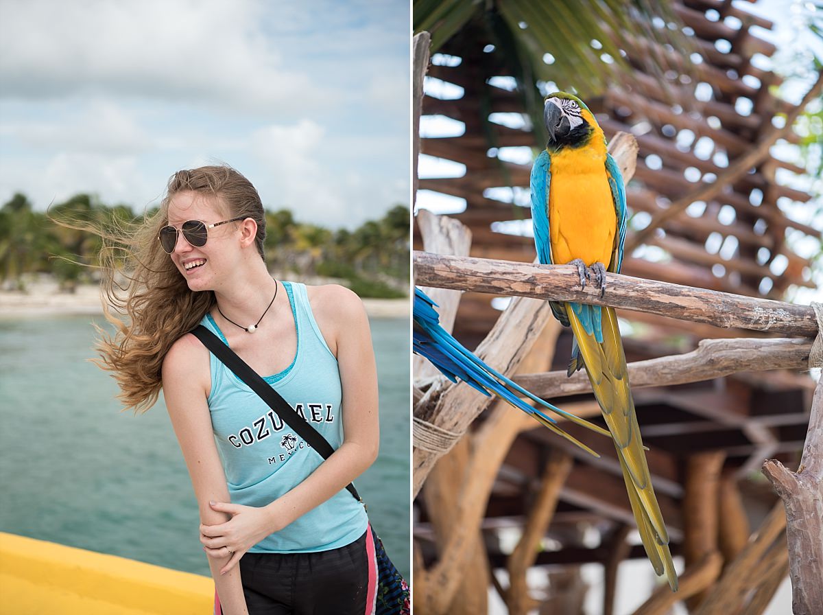 Blue yellow and green parrot costa maya resort