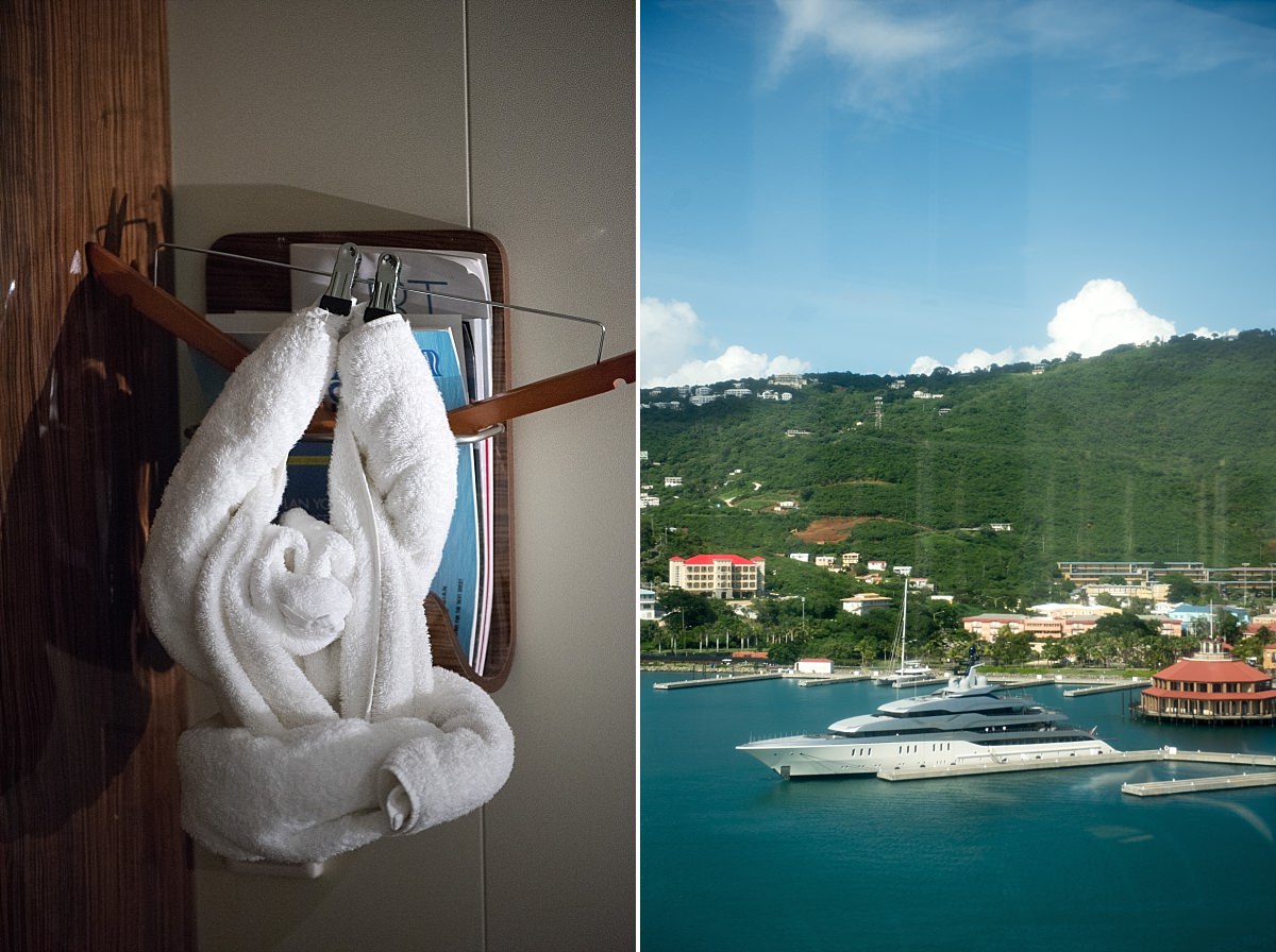 Towel monkey cruise ship