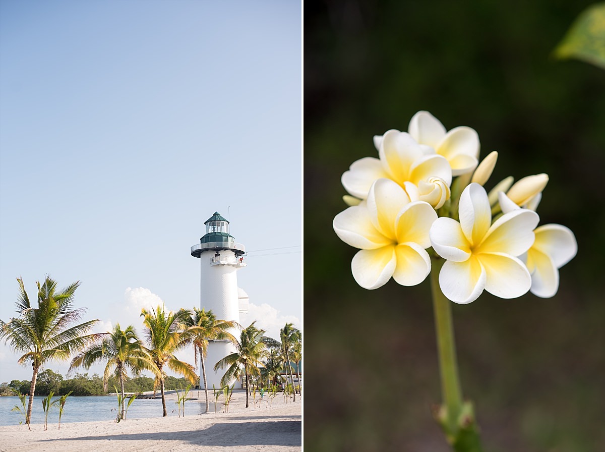 Belize lighthouse and tropical flowers